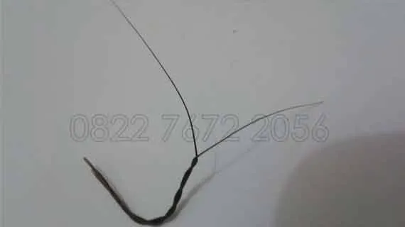 Asal Usul Bulu Perindu