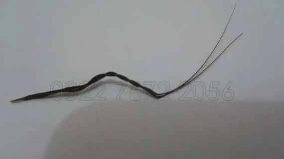 jual beli bulu perindu asli