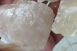 Khasiat Mani Gajah Terbaru 2025